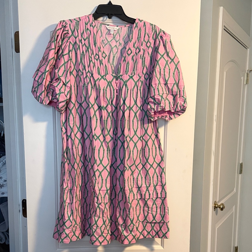 Crown & Ivy Pink Dress with Green Pattern